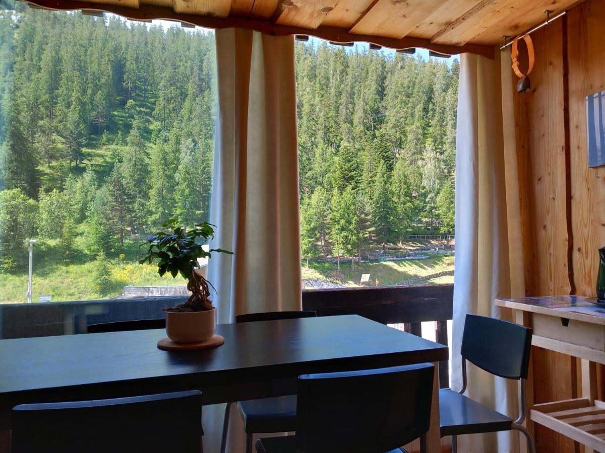 Tres Agreable 2 Pieces Au Pied Des Pistes Daire Valdeblore Dış mekan fotoğraf