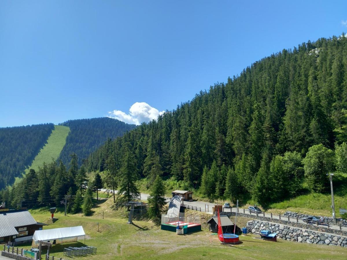 Tres Agreable 2 Pieces Au Pied Des Pistes Daire Valdeblore Dış mekan fotoğraf